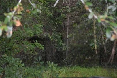 Vacant Land in Hemingway - land for sale