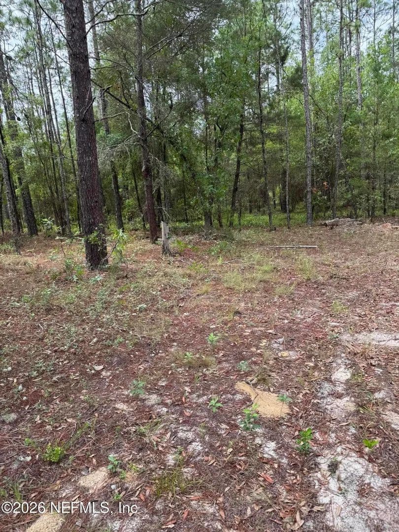 Property from 4477 M LAKE Road - KW - Keystone Heights, Florida, 32656