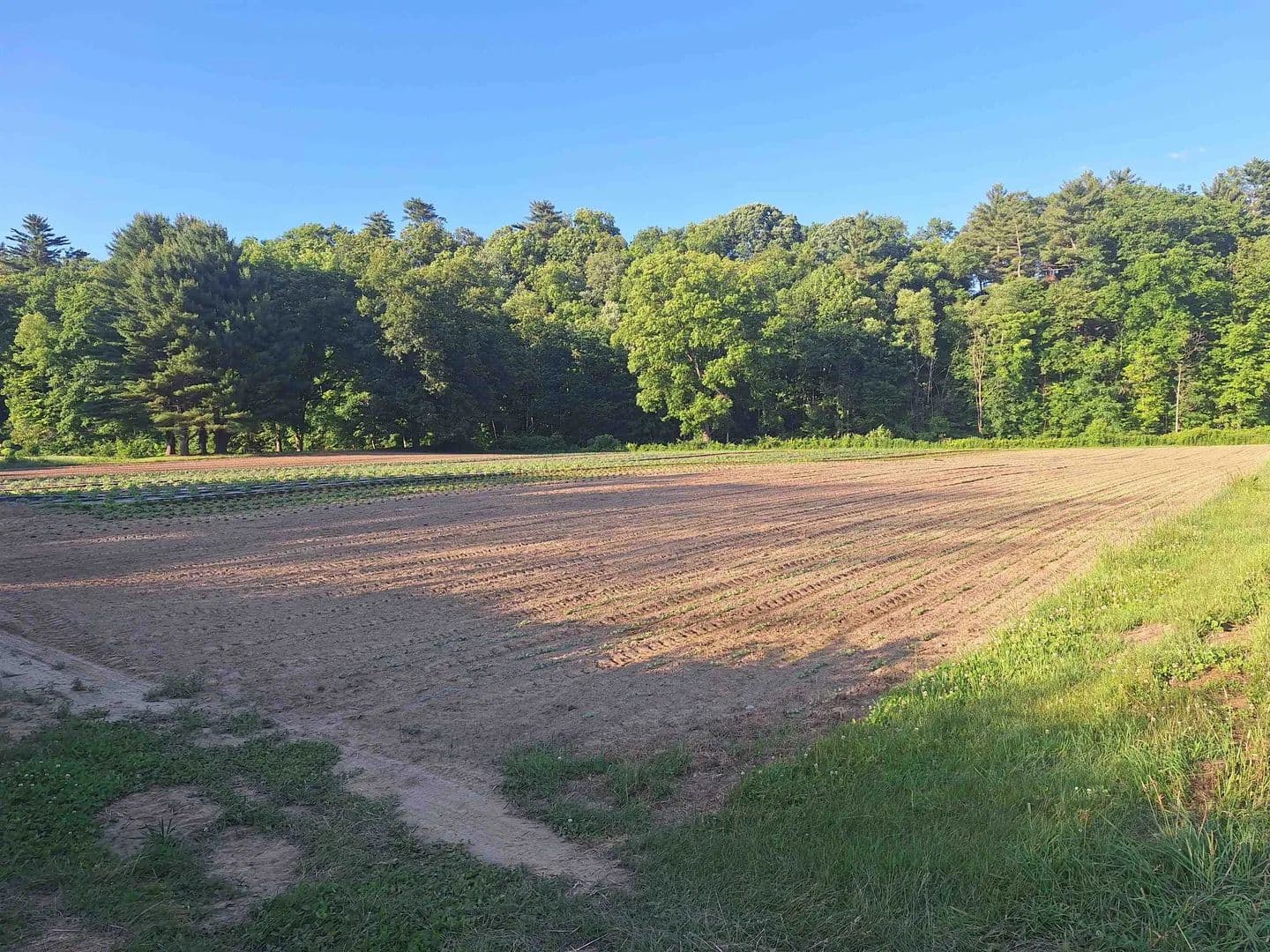 2 Acres of Land for Sale in Walpole, New Hampshire - land for sale