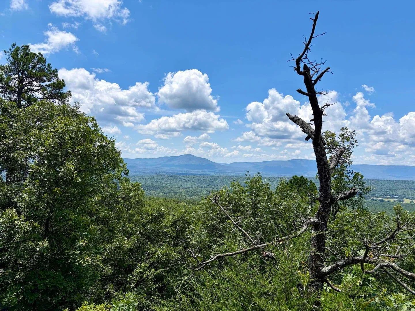 160 Acres of Land for Sale in Havana, AR - Havana, Arkansas, 72842