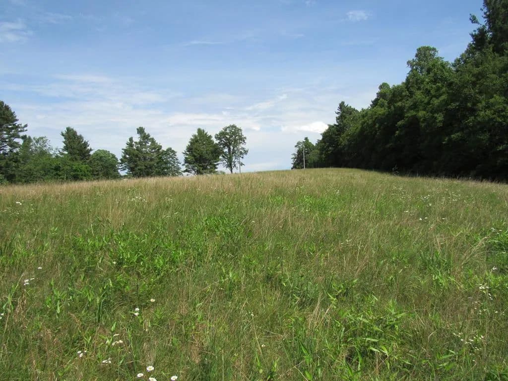 Property from TBD Groundhog Mtn Road #TBD - KW - Hillsville, Virginia, 24343