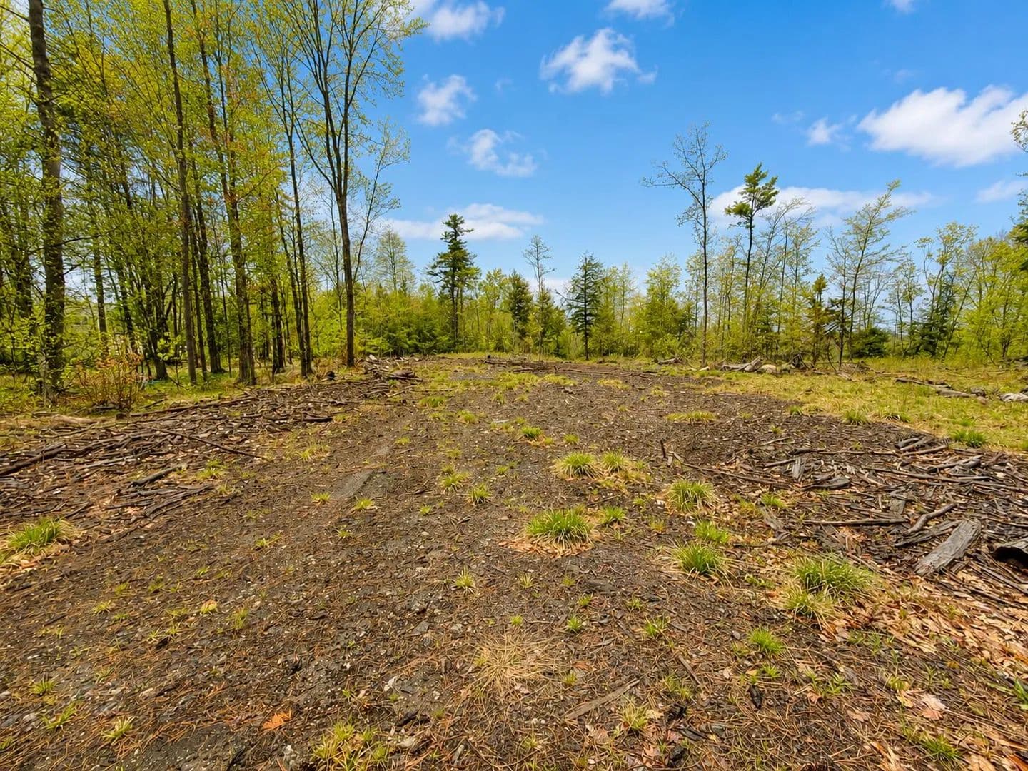 Vacant Land in Waterboro - Waterboro, Maine, 04061
