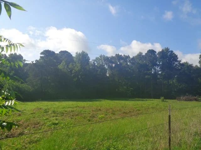 Property from TBD County Road 4568 - KW - Quitman, Texas, 75494