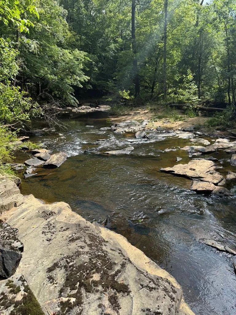 Vacant Land in Fortson - land for sale