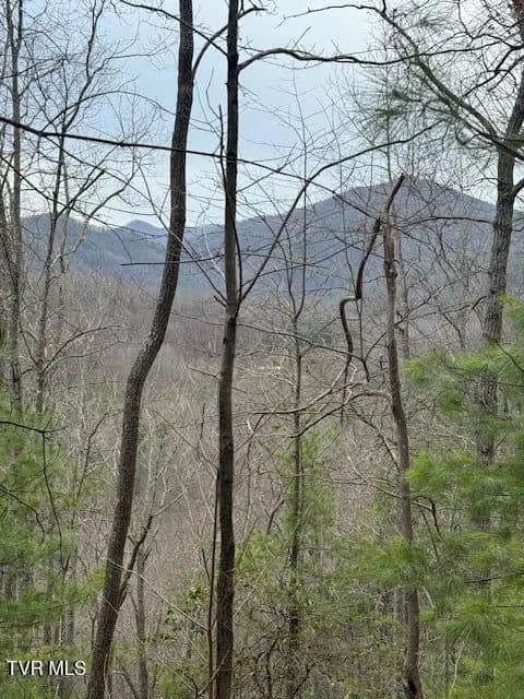 35 Acres of Land for Sale in Erwin, Tennessee - Erwin, Tennessee, 37650