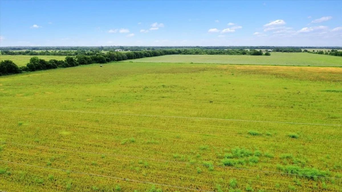 13.5 Acres of Land for Sale in Garwood, TX - land for sale