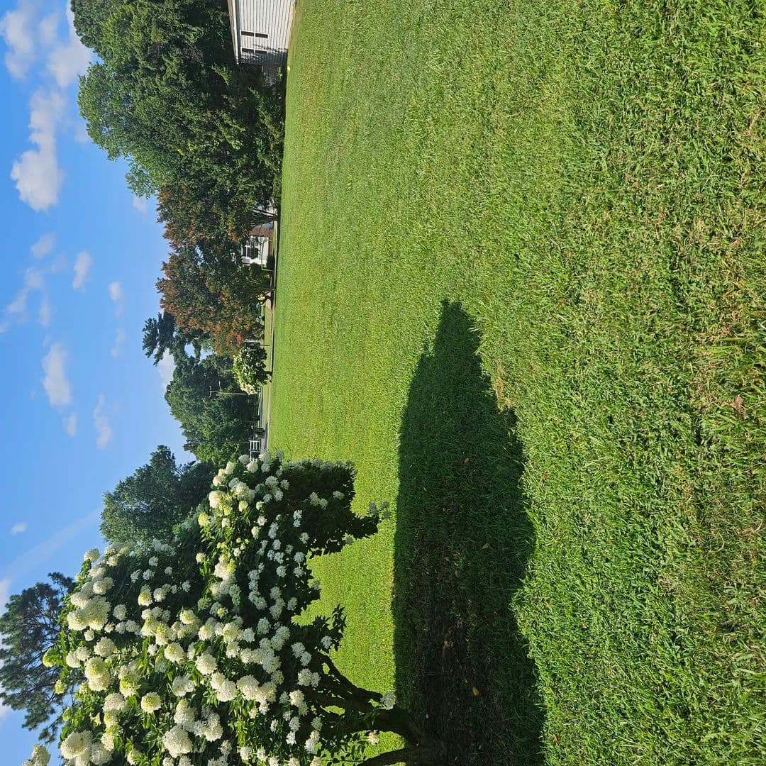Land -Single Family Acreage in Onancock - Onancock, Virginia, 234147