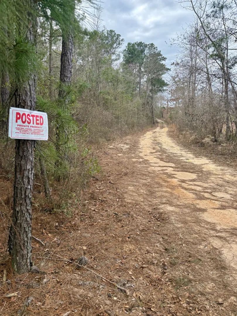 40 Acres in Laurens County, GA