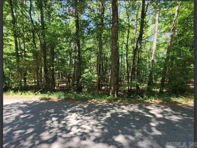Property from 98 Murillo Way - KW - Hot Springs Village, Arkansas, 71909