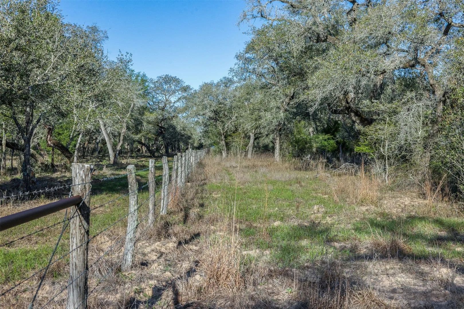 260 Acres of Land for Sale in Columbus, Texas - Columbus, Texas, 78934