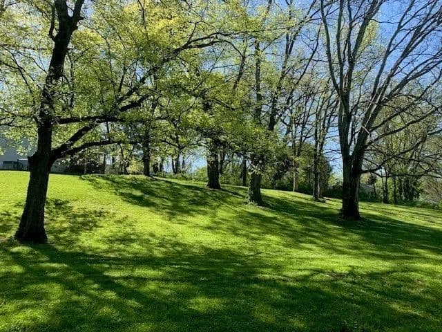 Property from 0 Poplar St - KW - Columbia, Tennessee, 38401