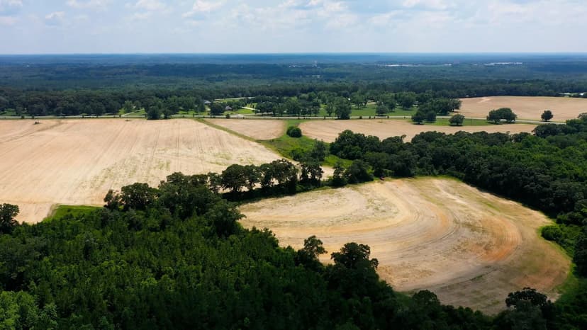 167 acres +/-|Geneva Co, Al| Agricultural, Hunting, Investment and Conversation Potential