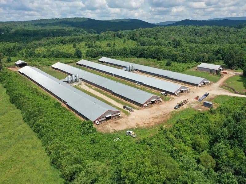 Highland Acres MEGA Broiler Farm – Four House Broiler Farm in Clay Co, AL - Lineville, Alabama, 36266