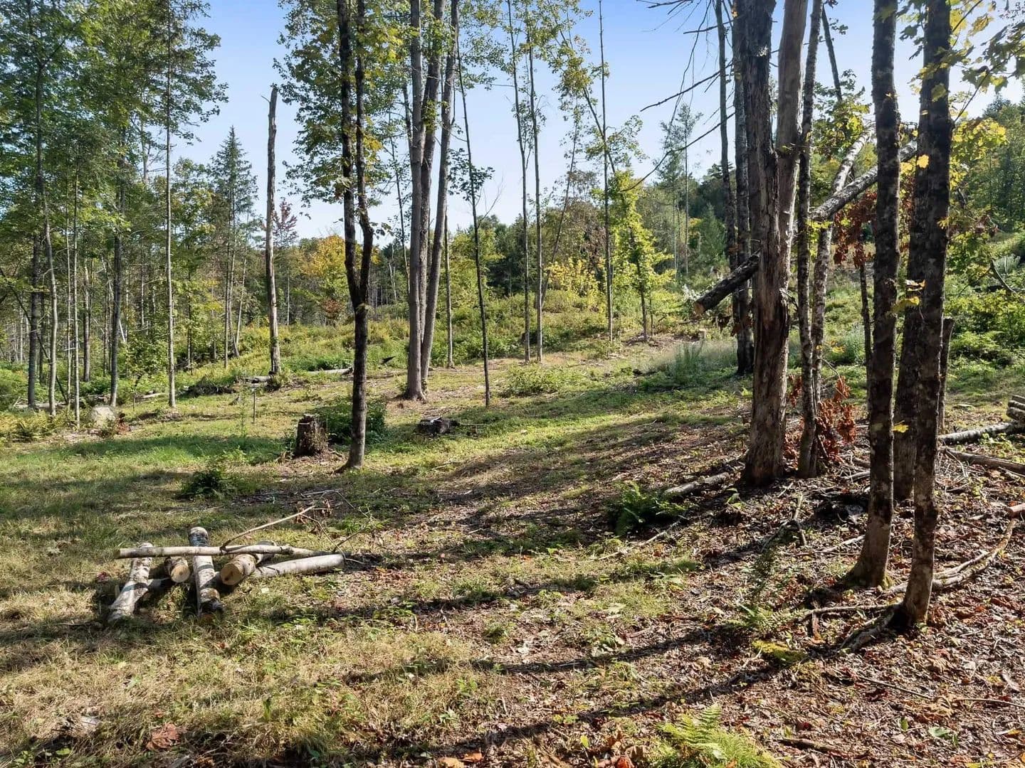 Property from 219 Weber Brook Lane - KW - Craftsbury, Vermont, 5826