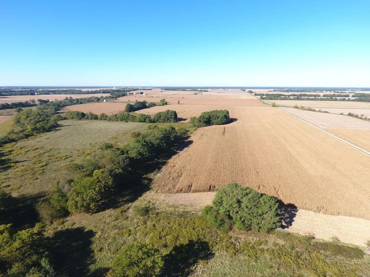 Dow 80 Acres - Xenia, Illinois, 62899