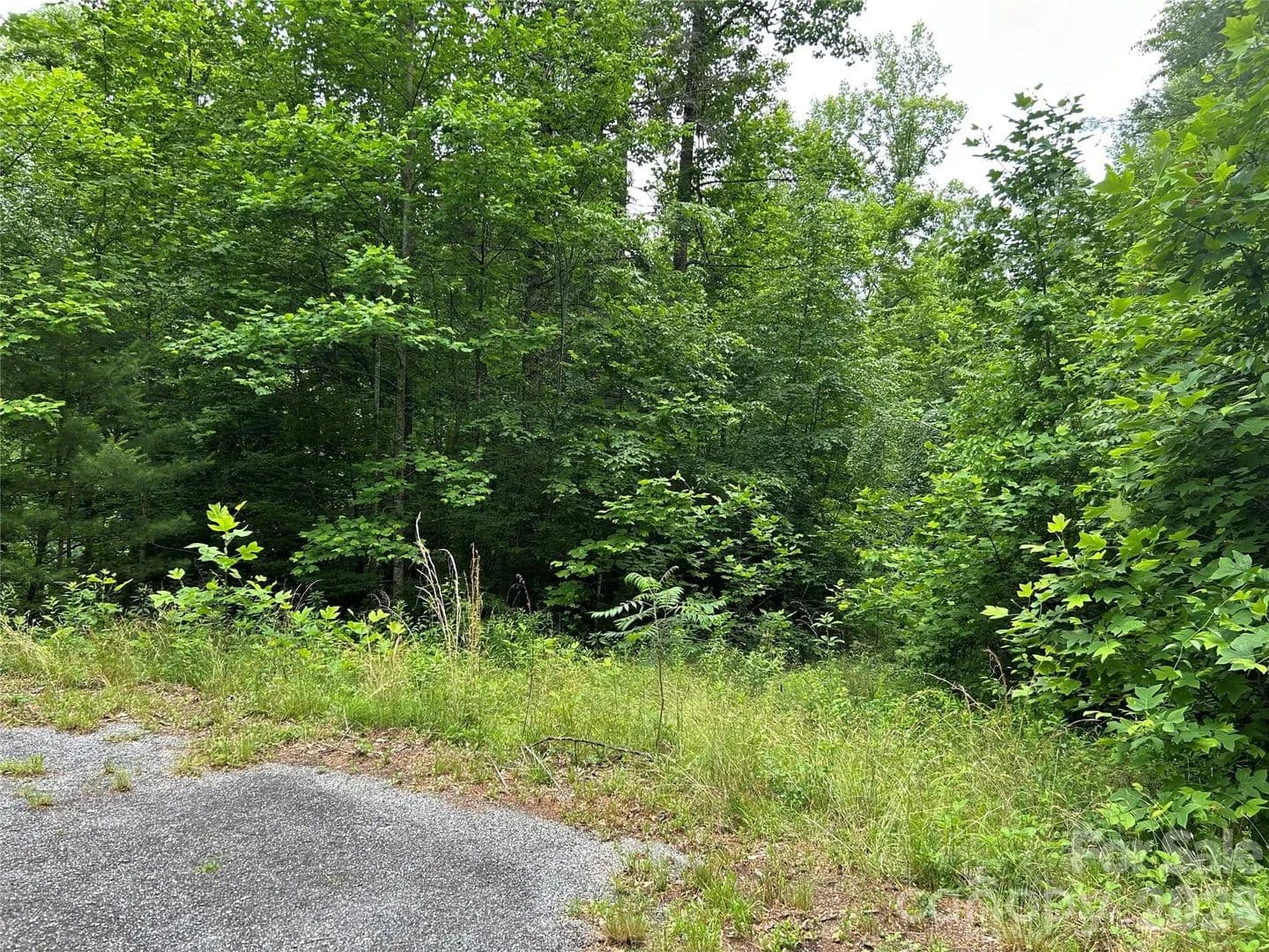 Property from 0 Silverstone Drive #16 & 17 - KW - Hendersonville, North Carolina, 28792