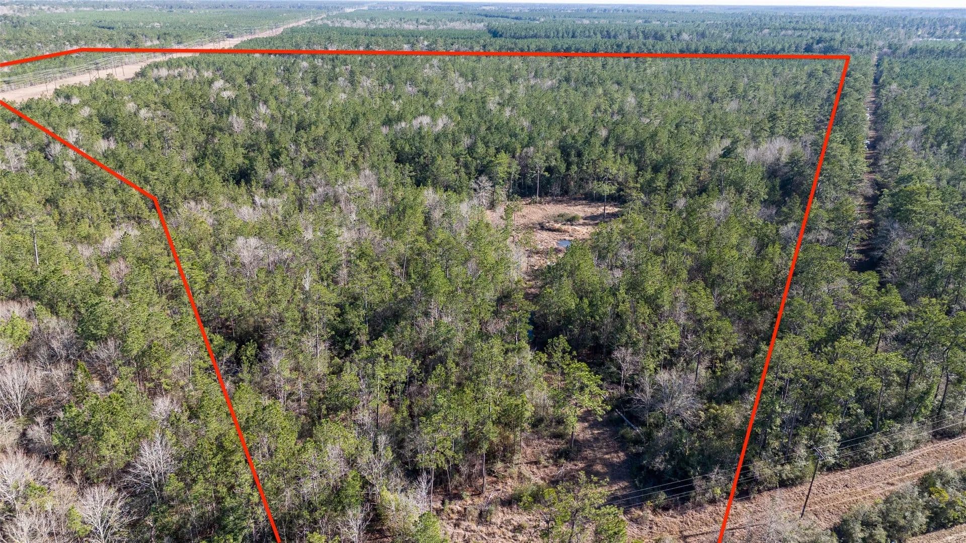 Vacant Land in Kountze - land for sale