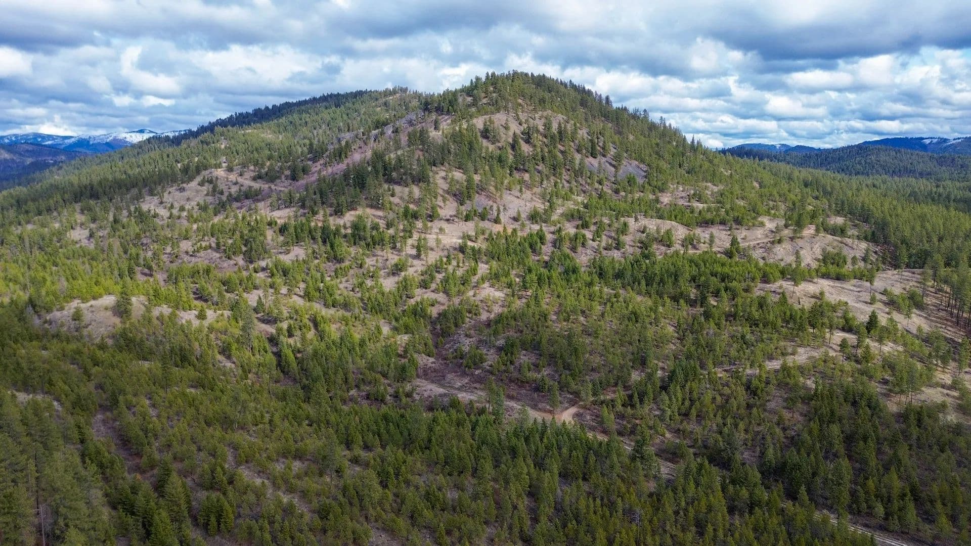 Vacant Land (10+ Acres) in Valley - Valley, Washington, 99181