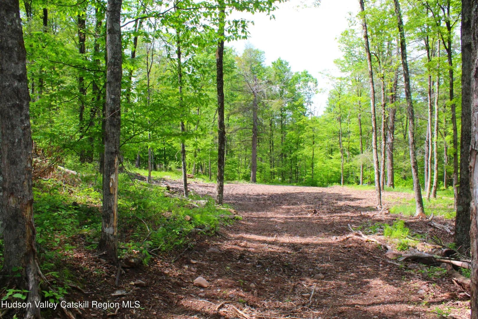 Property from 380 Terrace Drive - KW - Lexington, New York, 12468