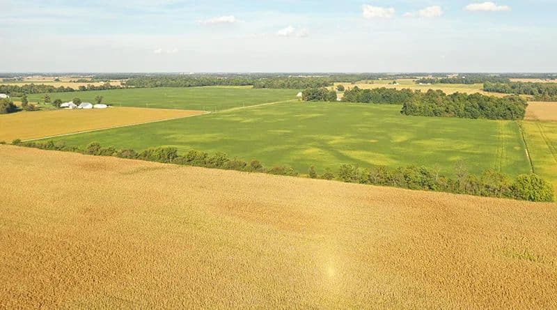 Charles & Dorothy Rowe Family Trust - land for sale