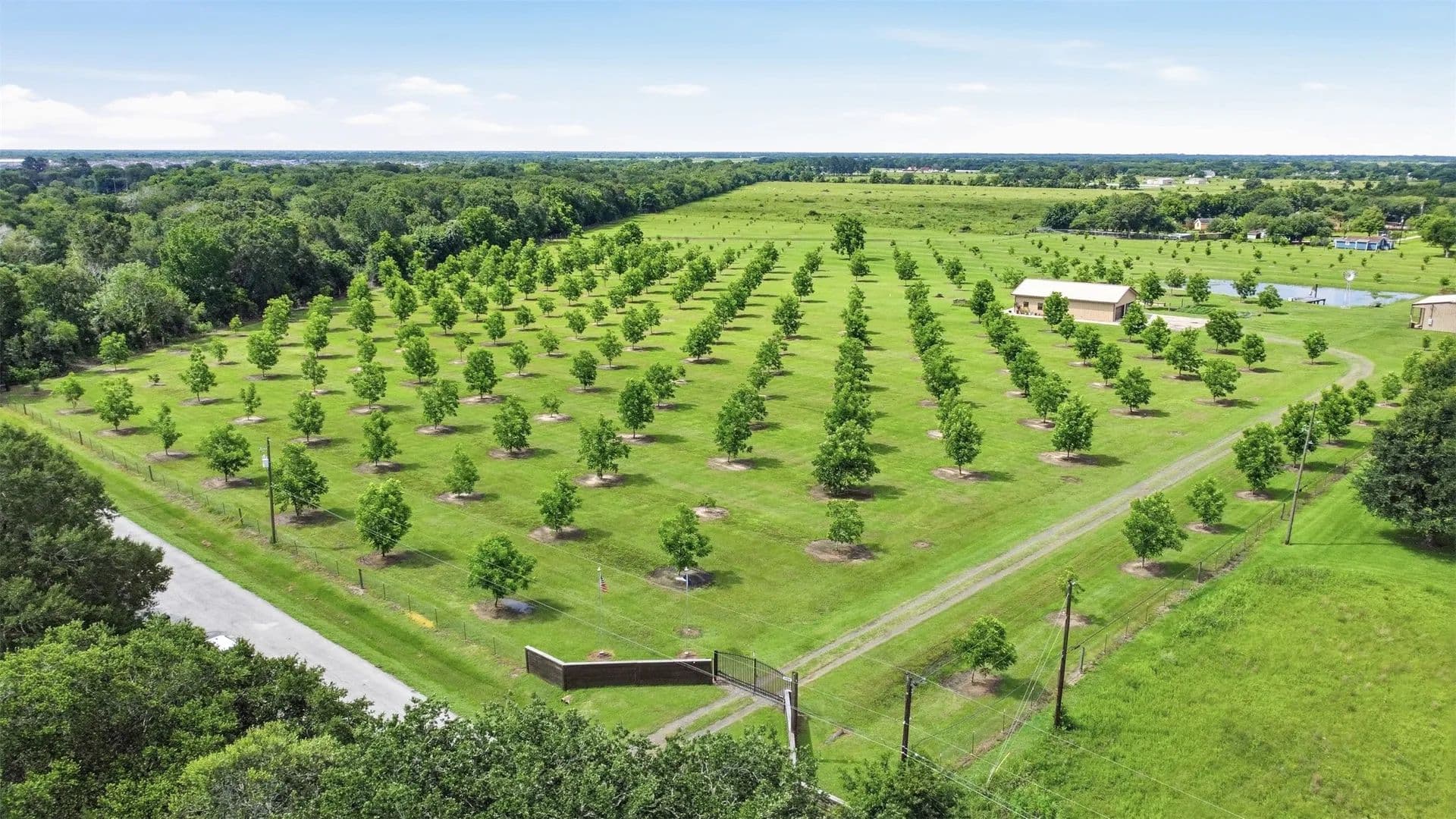 21.71 Acres of Land for Sale in Rosenberg, Texas - Rosenberg, Texas, 77471