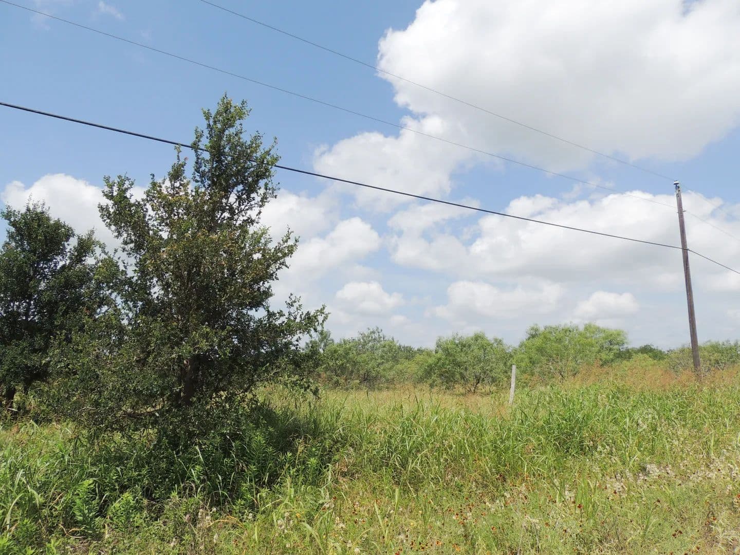 5.98 Acres of Land for Sale in Cedar Creek, Texas - Cedar Creek, Texas, 78612