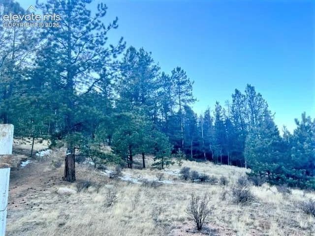 Property from 233 Rabbil Creek Trail - KW - Florissant, Colorado, 80816