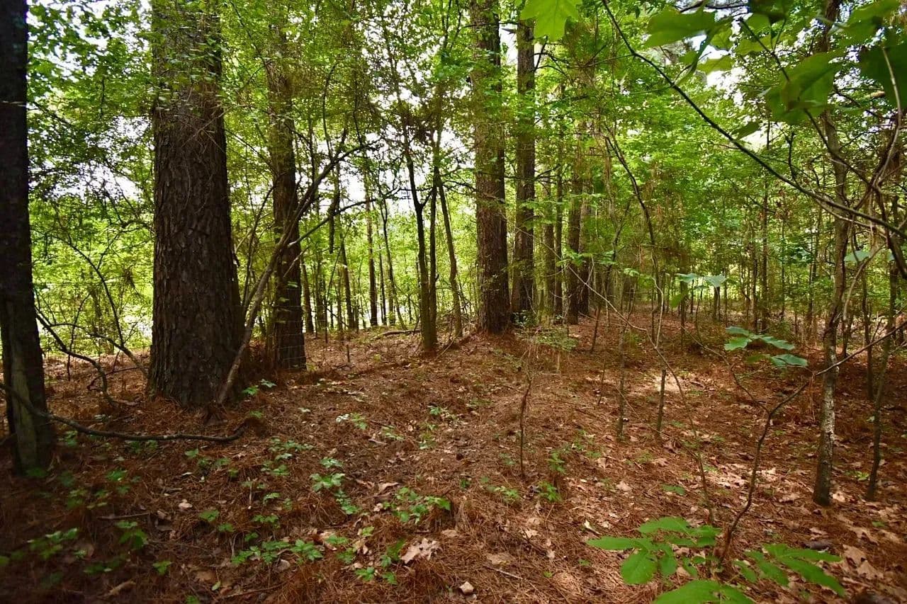 20 Acres E Broad - Texarkana, Arkansas, 71854