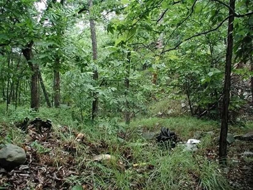Off-Grid Recreational Wooded Hunter's Getaway Clayton, Pushmataha County, OK 20 AC