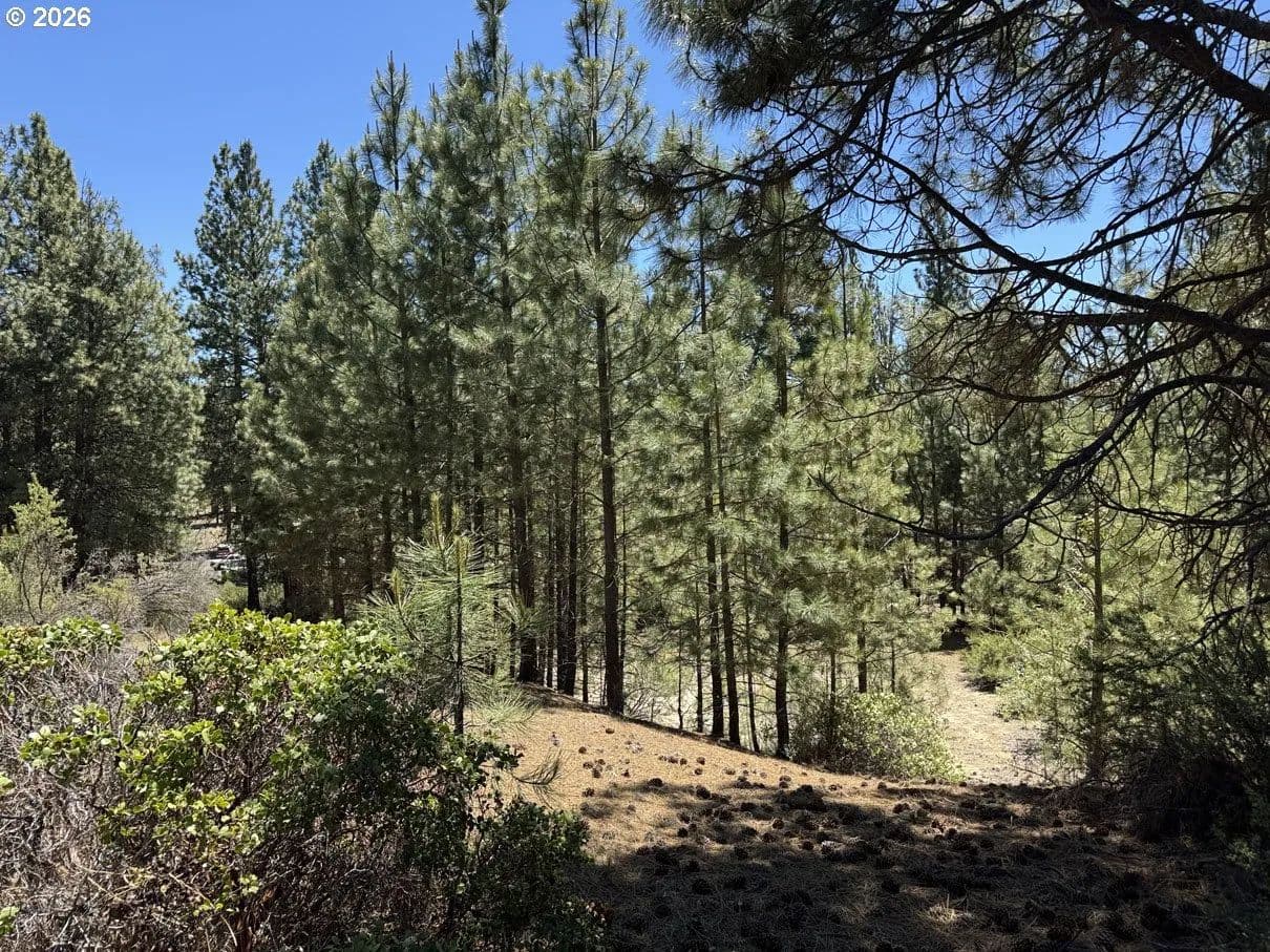 Property from Friendship DR #12 - KW - Chiloquin, Oregon, 97624