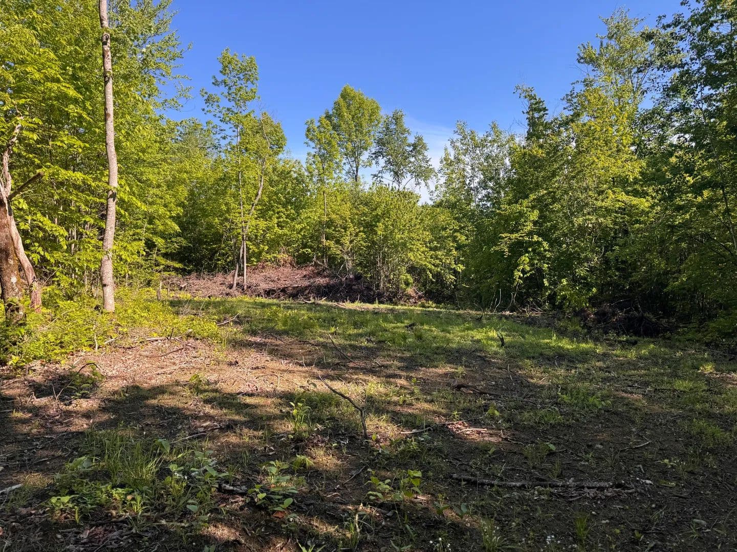 10 Acres of Land for Sale in New Sharon, Maine - New Sharon, Maine, 04955