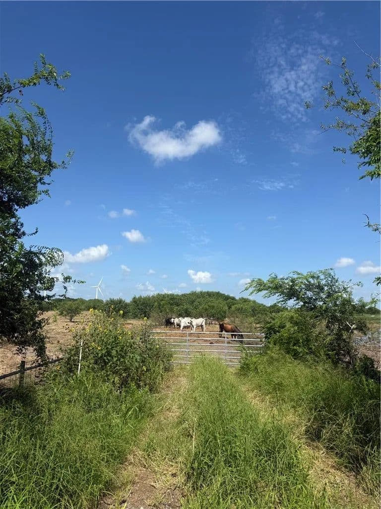 Property from 7088 Fm 631 - KW - land for sale