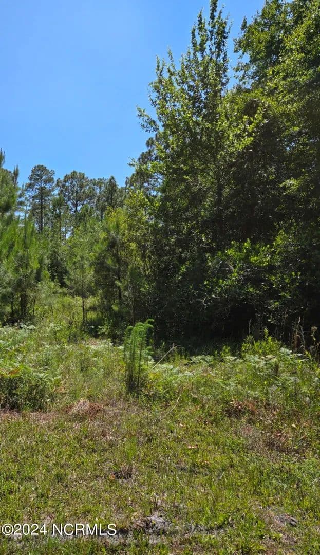 Lots & Land-Other in Boiling Spring Lakes - Boiling Spring Lakes, North Carolina, 28461