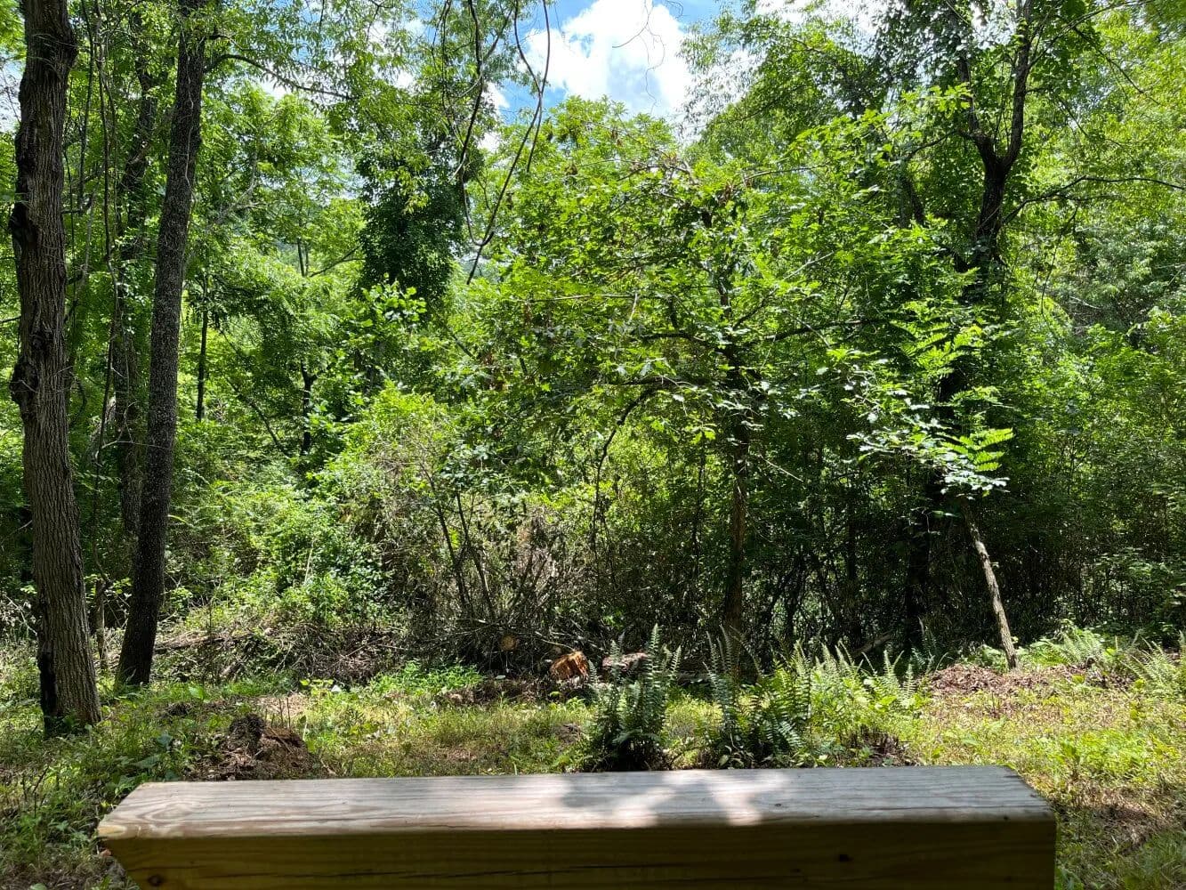 Sandy Mush Getaway - Leicester, North Carolina, 28748