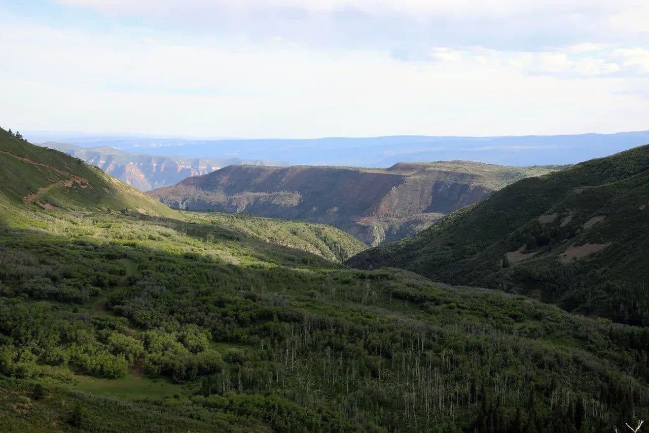 Camel Point Ranch - Glade Park, Colorado, 81523