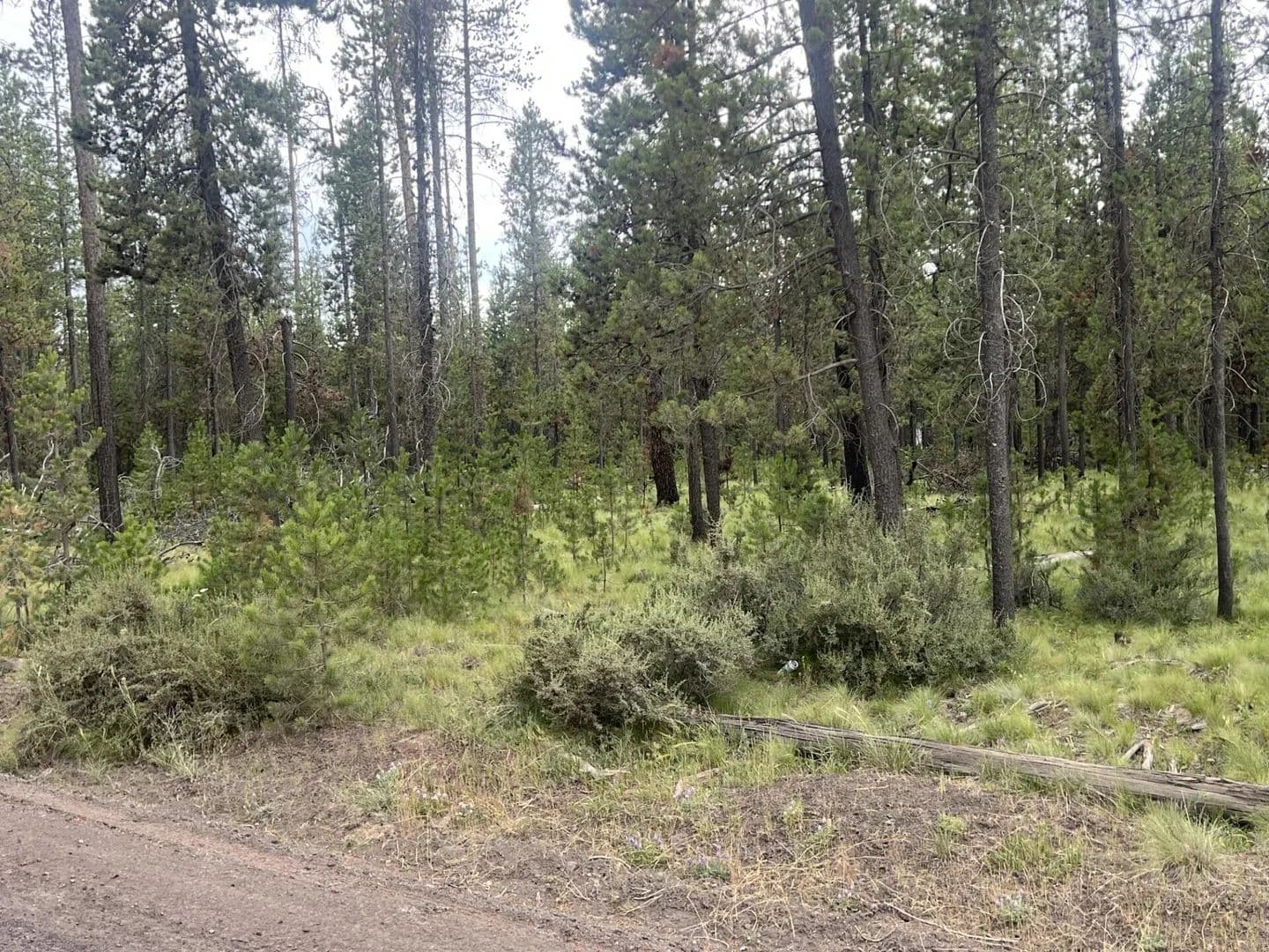 Vacant Land in Bend - land for sale
