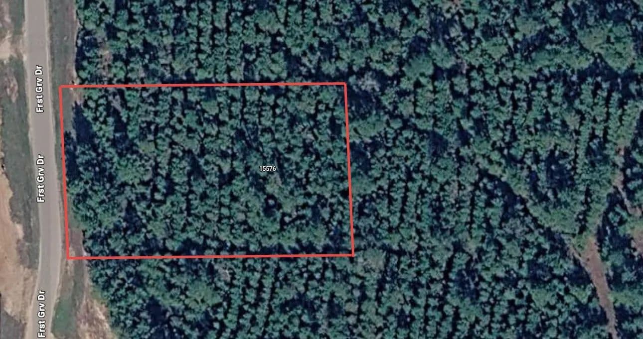 Property from 15576 Forest Grove Drive - KW - Willis, Texas, 77378