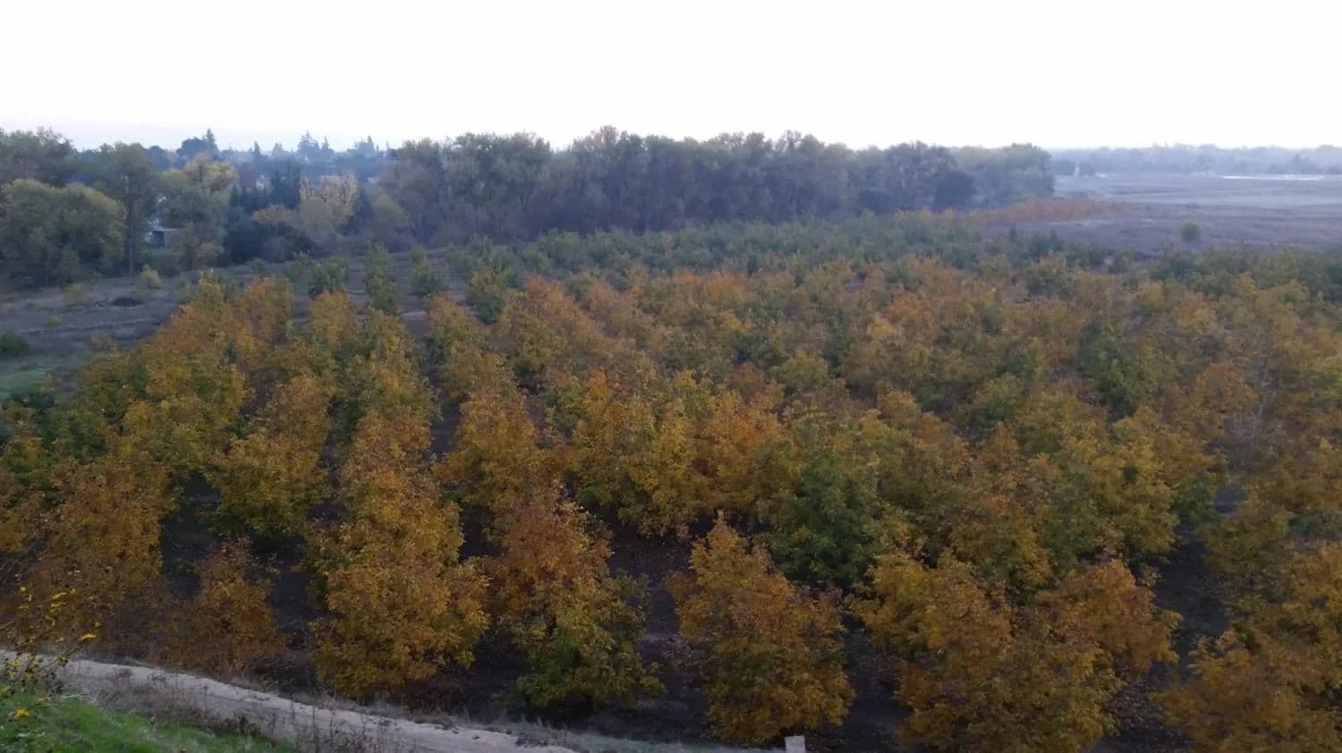 Property from 0 Jackson Road #0 - KW - Oakdale, California, 95361