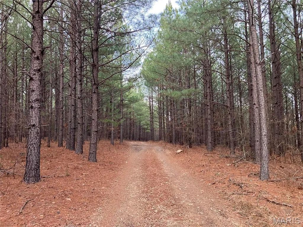 Property from 253 Madison CR 410 - KW - Fredericktown, Missouri, 63645