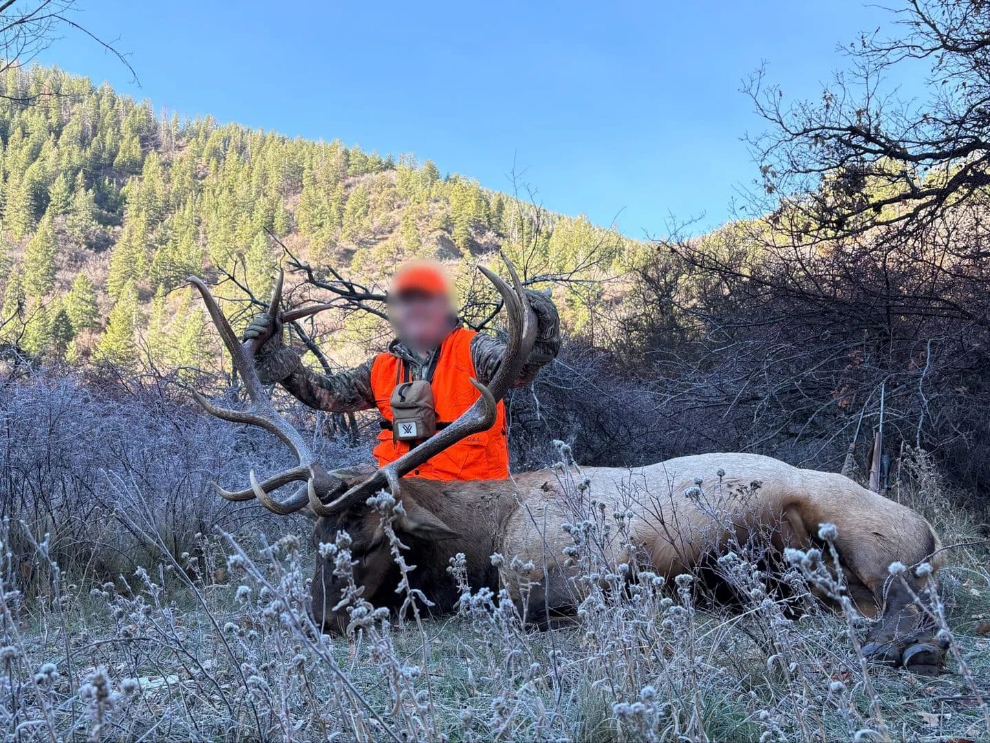 Elk Wallows Ranch - Rifle, Colorado, 81650