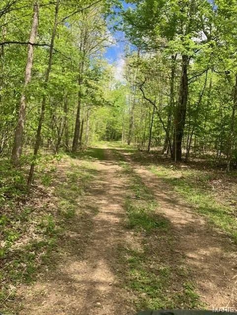 Property from 228 Madison CR 410 - KW - Fredericktown, Missouri, 63645