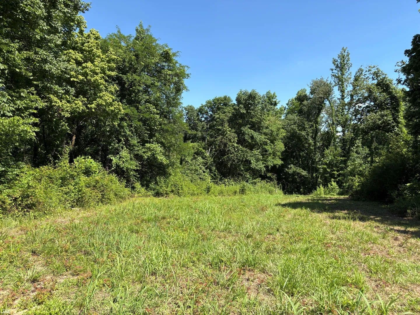 Walsh Rd, Millington - Lot 1 - Millington, Tennessee, 38053