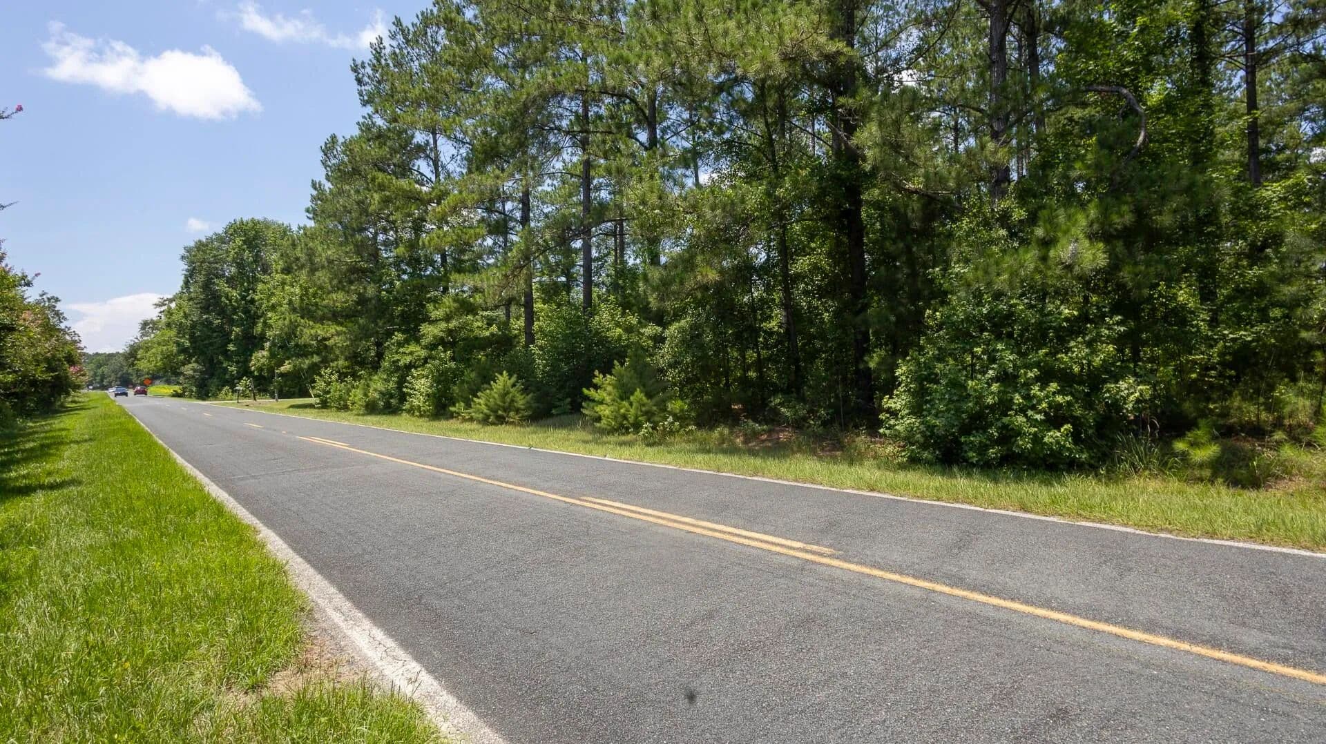 Vacant Land in Holly Hill - Holly Hill, South Carolina, 29059