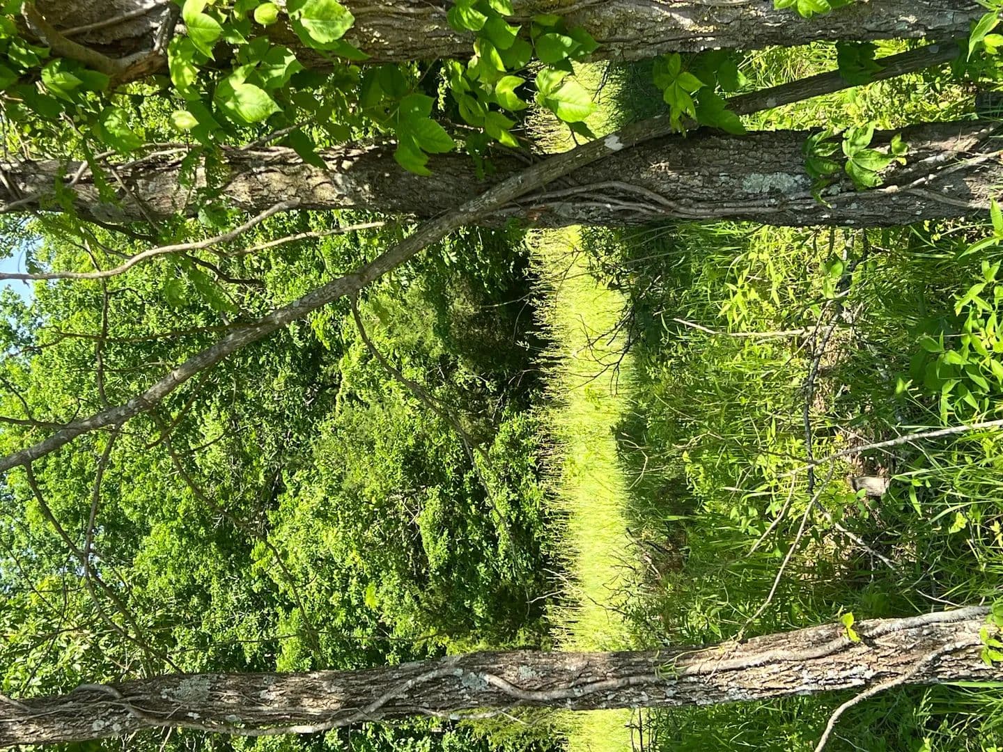 Land -Agricultural (Not Zoned) in Stover - Stover, Missouri, 65078