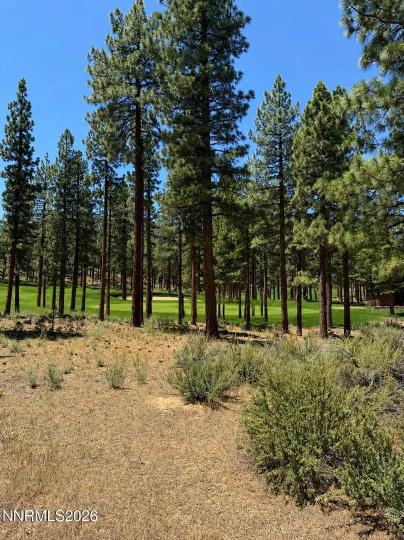 1.43 Acres of Land for Sale in Carson City, NV - Carson City, Nevada, 89705