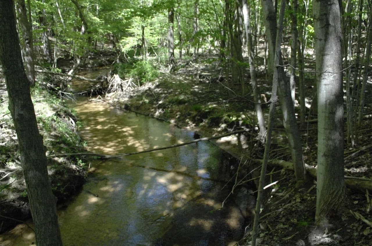 Property from W Marshville Dam - KW - Shelby, Michigan, 49455