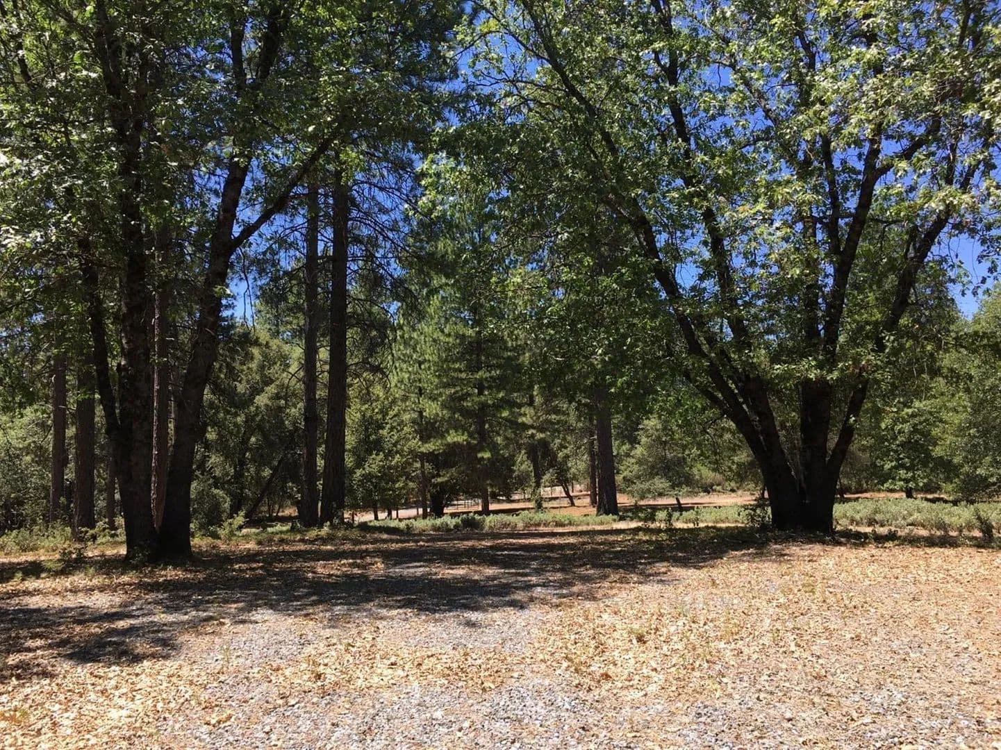 Property from 0 Ridge Road #Parcel A - KW - Rail Road Flat, California, 95248