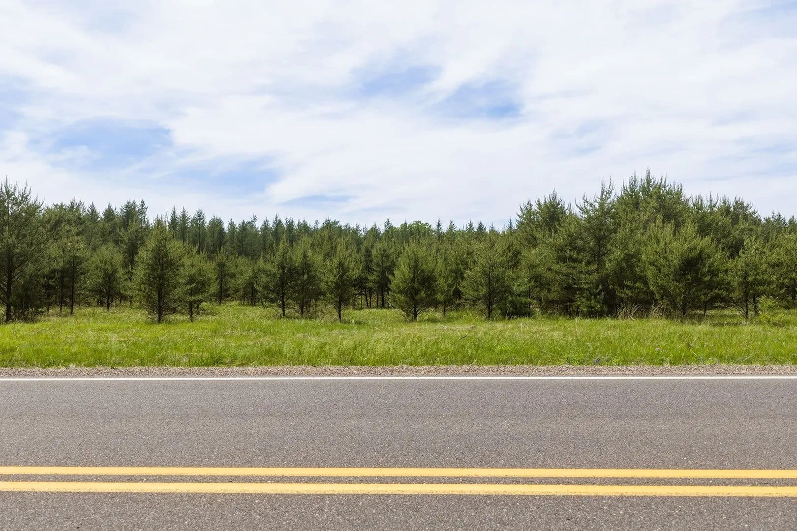 39.97 Acres of Land for Sale in Augusta, Wisconsin - Augusta, Wisconsin, 54722