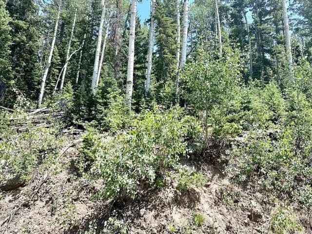 Property from 55 S Snow Shoe #Lot 1 Blk B - KW - Brian Head, Utah, 84719