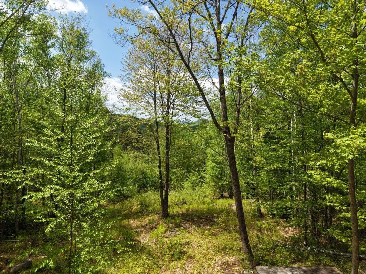 Hanover, P/O Map U8 Lot 21 - 3.7 acres - Hanover, Maine, 04237